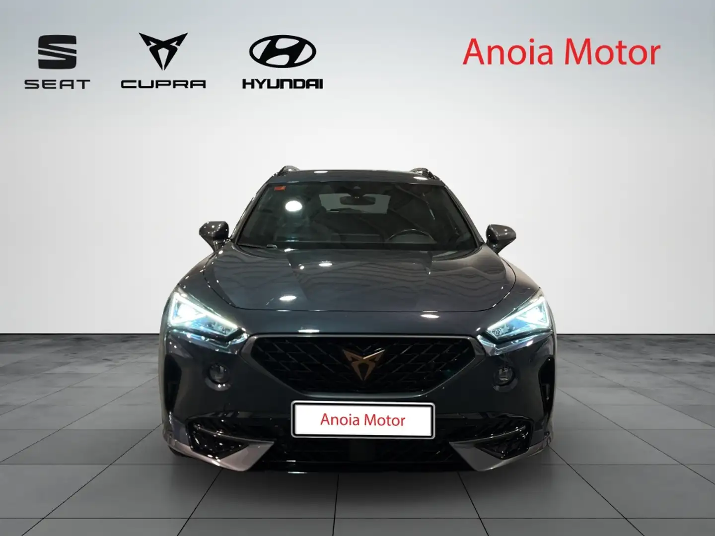 CUPRA Formentor 1.5 TSI 150 DSG Gris - 2