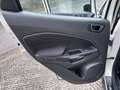 Ford EcoSport EcoSport 1.5 tdci Titanium 90cv Blanc - thumbnail 18