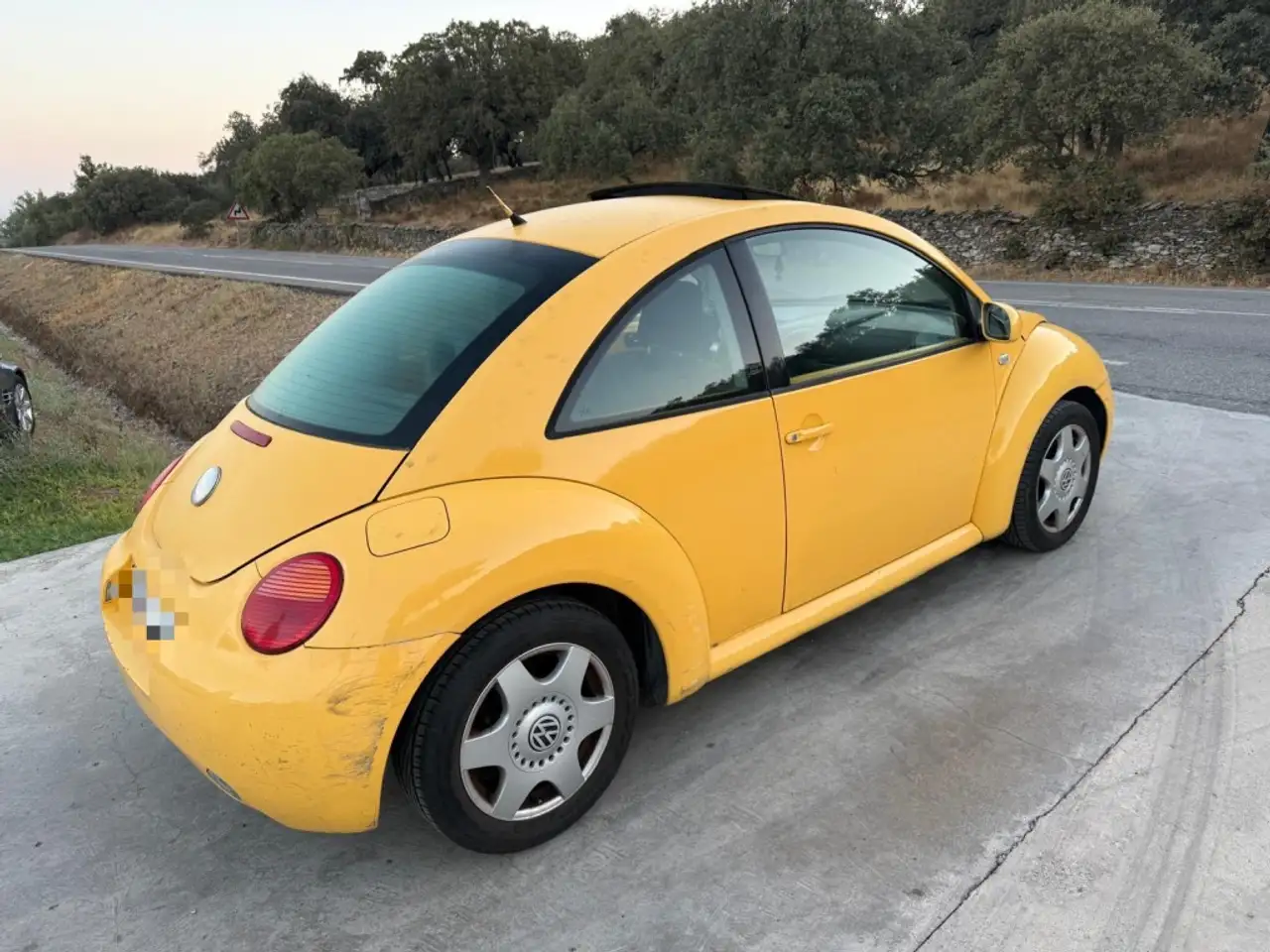 Volkswagen Beetle 1.9TDI, foto 2