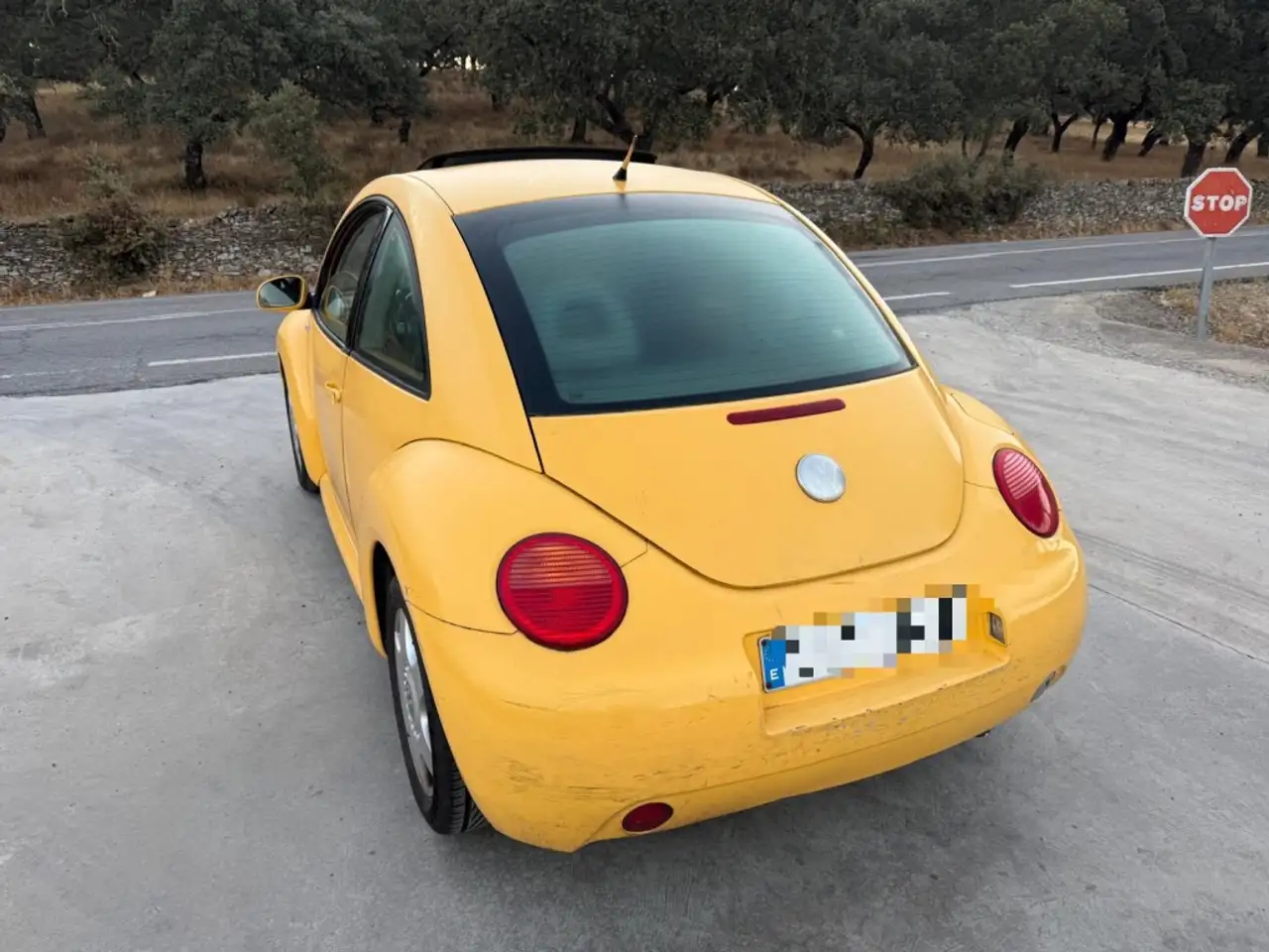 Volkswagen Beetle 1.9TDI, foto 3