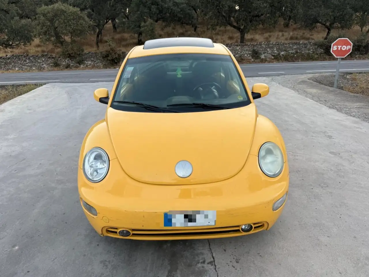 Volkswagen Beetle 1.9TDI, foto 6