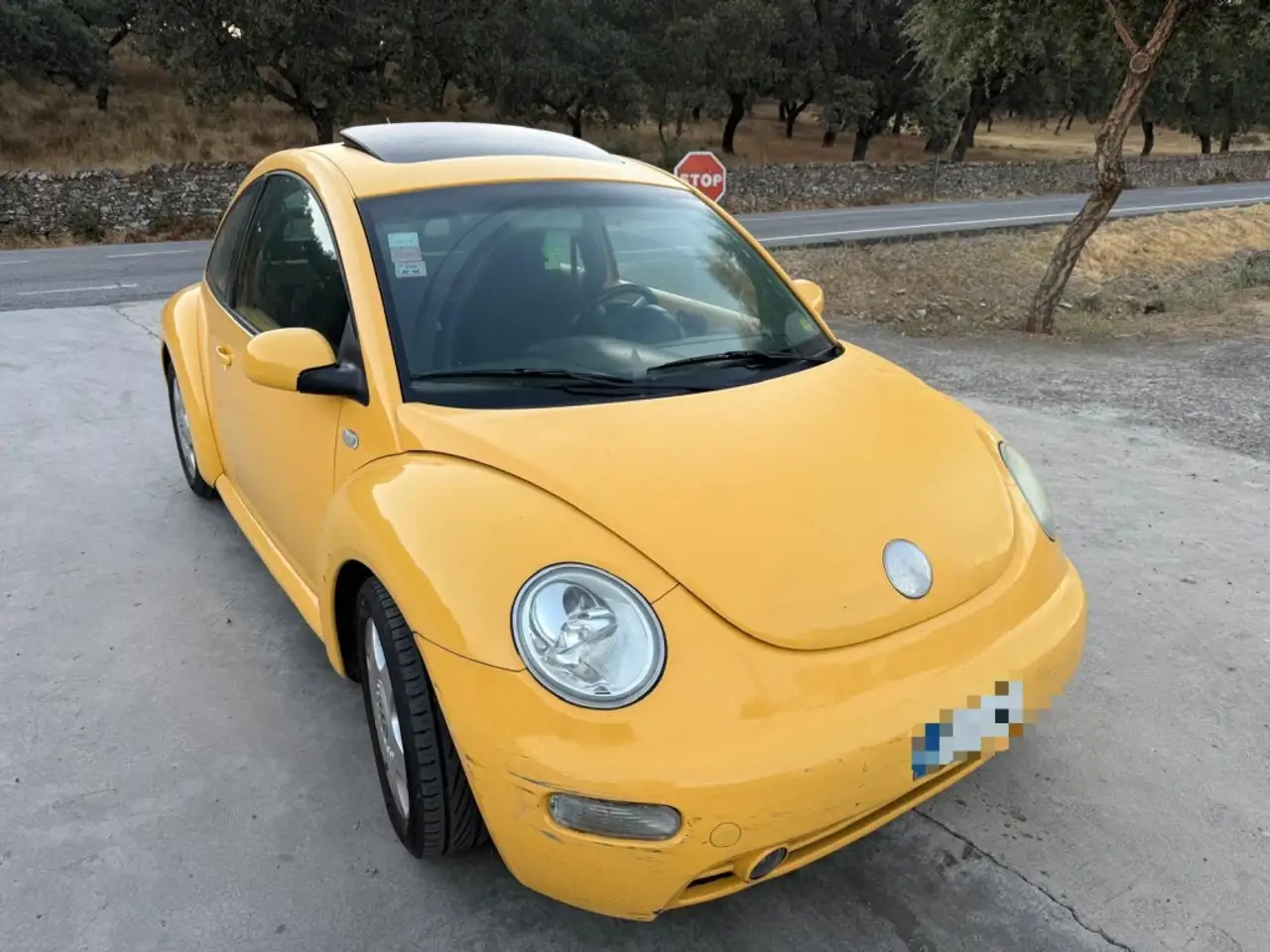Volkswagen Beetle 1.9TDI, foto 4