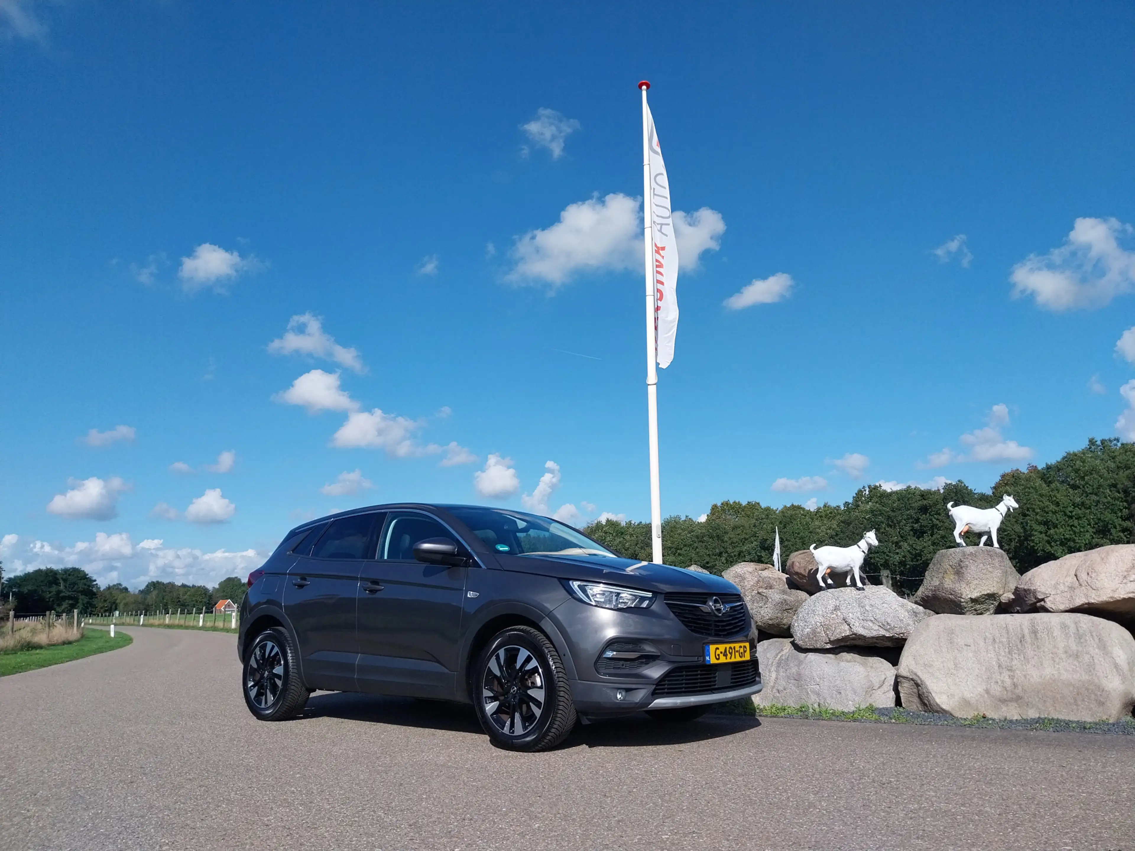 Opel Grandland X 1.2 Turbo 131 PK Ultimate AUTOMAAT HALF LEER LED N — photo 6