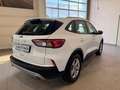 Ford Kuga Cool & Connect Weiß - thumbnail 6