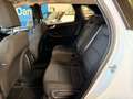 Ford Kuga Cool & Connect Weiß - thumbnail 10