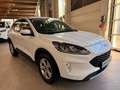 Ford Kuga Cool & Connect Weiß - thumbnail 8