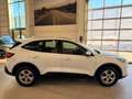 Ford Kuga Cool & Connect Weiß - thumbnail 7
