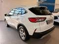 Ford Kuga Cool & Connect Weiß - thumbnail 3