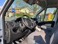 Peugeot Boxer 2.2 HDI 130CV Bianco - thumbnail 5