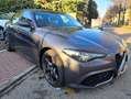 Alfa Romeo Giulia 2.2 Turbodiesel 190 CV AT8 Executive Argent - thumbnail 9