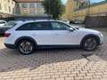 Audi A4 allroad 45 TFSI 245 CV S tronic Business Evo Bianco - thumbnail 7