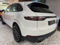 Porsche Cayenne Basis Pano Approved Blanc - thumbnail 4