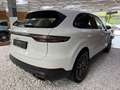 Porsche Cayenne Basis Pano Approved Blanc - thumbnail 6