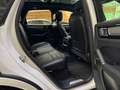 Porsche Cayenne Basis Pano Approved Blanc - thumbnail 18