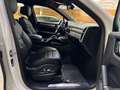 Porsche Cayenne Basis Pano Approved Blanc - thumbnail 17