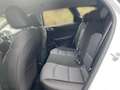 Kia Ceed / cee'd 1.5 T-GDI MHEV DCT Ultimate Ed. Sportsw. Weiß - thumbnail 11