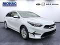 Kia Ceed / cee'd 1.5 T-GDI MHEV DCT Ultimate Ed. Sportsw. Weiß - thumbnail 2