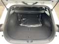 Kia Ceed / cee'd 1.5 T-GDI MHEV DCT Ultimate Ed. Sportsw. Weiß - thumbnail 12