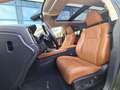 Lexus RX 450h AWD AssistPlus Pano heizLenk Grün - thumbnail 13