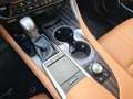 Lexus RX 450h AWD AssistPlus Pano heizLenk Grün - thumbnail 27