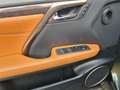 Lexus RX 450h AWD AssistPlus Pano heizLenk Grün - thumbnail 12