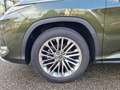 Lexus RX 450h AWD AssistPlus Pano heizLenk Grün - thumbnail 7