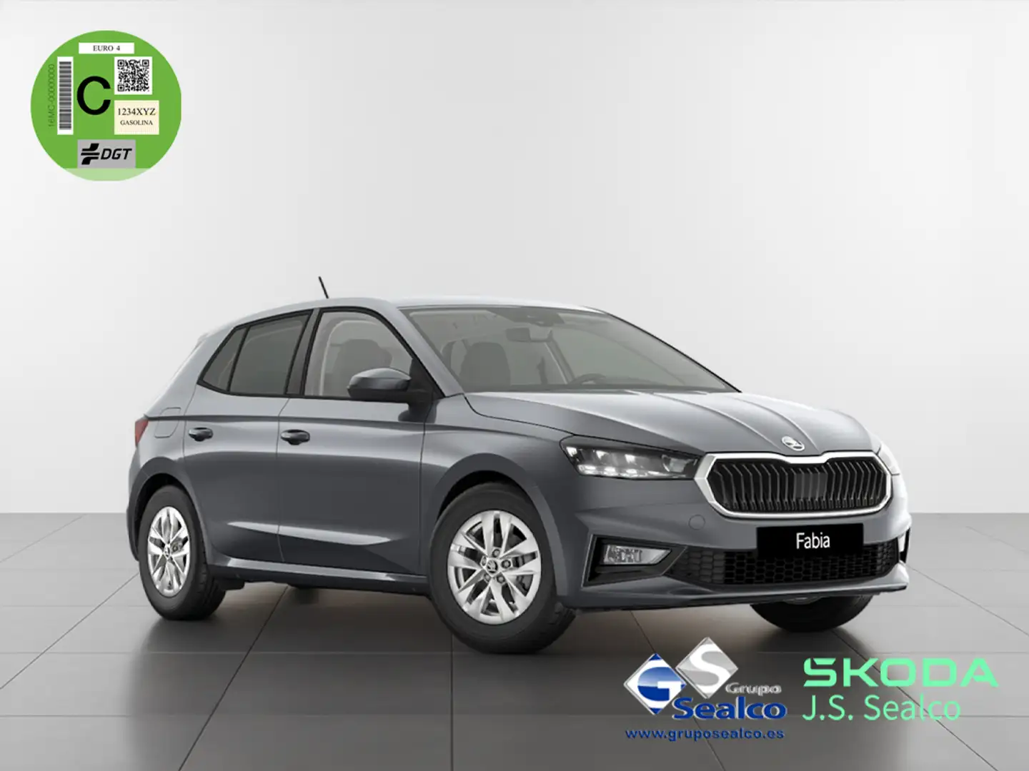 Skoda Fabia 1.0 TSI Selection 70kW Gris - 1