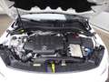 Mercedes-Benz GLA 200 GLA 200 d 4Matic (247.713) AMG Line Weiß - thumbnail 19