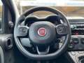 Fiat Panda Panda Cross 1.0 FireFly S&S Hybrid Grau - thumbnail 8
