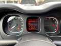 Fiat Panda Panda Cross 1.0 FireFly S&S Hybrid Grau - thumbnail 9