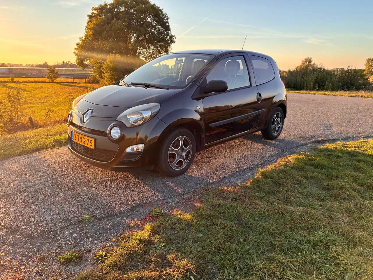 Renault Twingo Twingo 1.2 16V Parisienne — photo 1 of 10