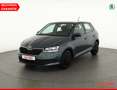 Skoda Fabia 1.0 TSI Klima DAB USB Bluetooth Grau - thumbnail 1