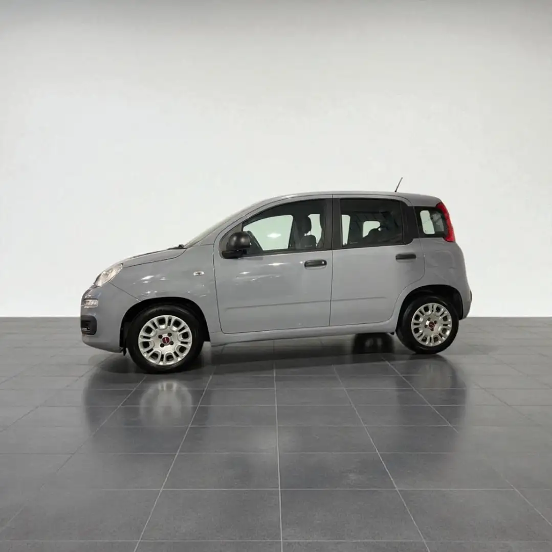 Fiat Panda 1.0 FireFly S&S Hybrid Grigio - 2