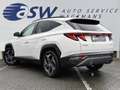 Hyundai TUCSON 1.6 T-GDI MHEV Premium Sky | Pano | Leder | 360* C Weiß - thumbnail 4