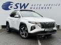 Hyundai TUCSON 1.6 T-GDI MHEV Premium Sky | Pano | Leder | 360* C Weiß - thumbnail 3