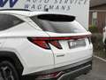 Hyundai TUCSON 1.6 T-GDI MHEV Premium Sky | Pano | Leder | 360* C Weiß - thumbnail 35