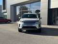 Land Rover Discovery Sport Discovery Sport 2.0 TD4 163 CV AWD Auto SE Silber - thumbnail 3