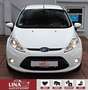 Ford Fiesta 1.6 TDCi Titanium StandHz*Klimaaut.*PDC* Weiß - thumbnail 9