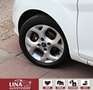 Ford Fiesta 1.6 TDCi Titanium StandHz*Klimaaut.*PDC* Weiß - thumbnail 13