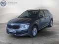 Skoda Kamiq Selection TSI Grau - thumbnail 1