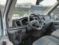 Ford Transit 350 2.0TDCi EcoBlue 170CV PL-TM Furgone Trend Wit - thumbnail 8