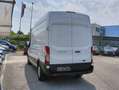 Ford Transit 350 2.0TDCi EcoBlue 170CV PL-TM Furgone Trend Wit - thumbnail 7