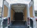 Ford Transit 350 2.0TDCi EcoBlue 170CV PL-TM Furgone Trend Wit - thumbnail 13