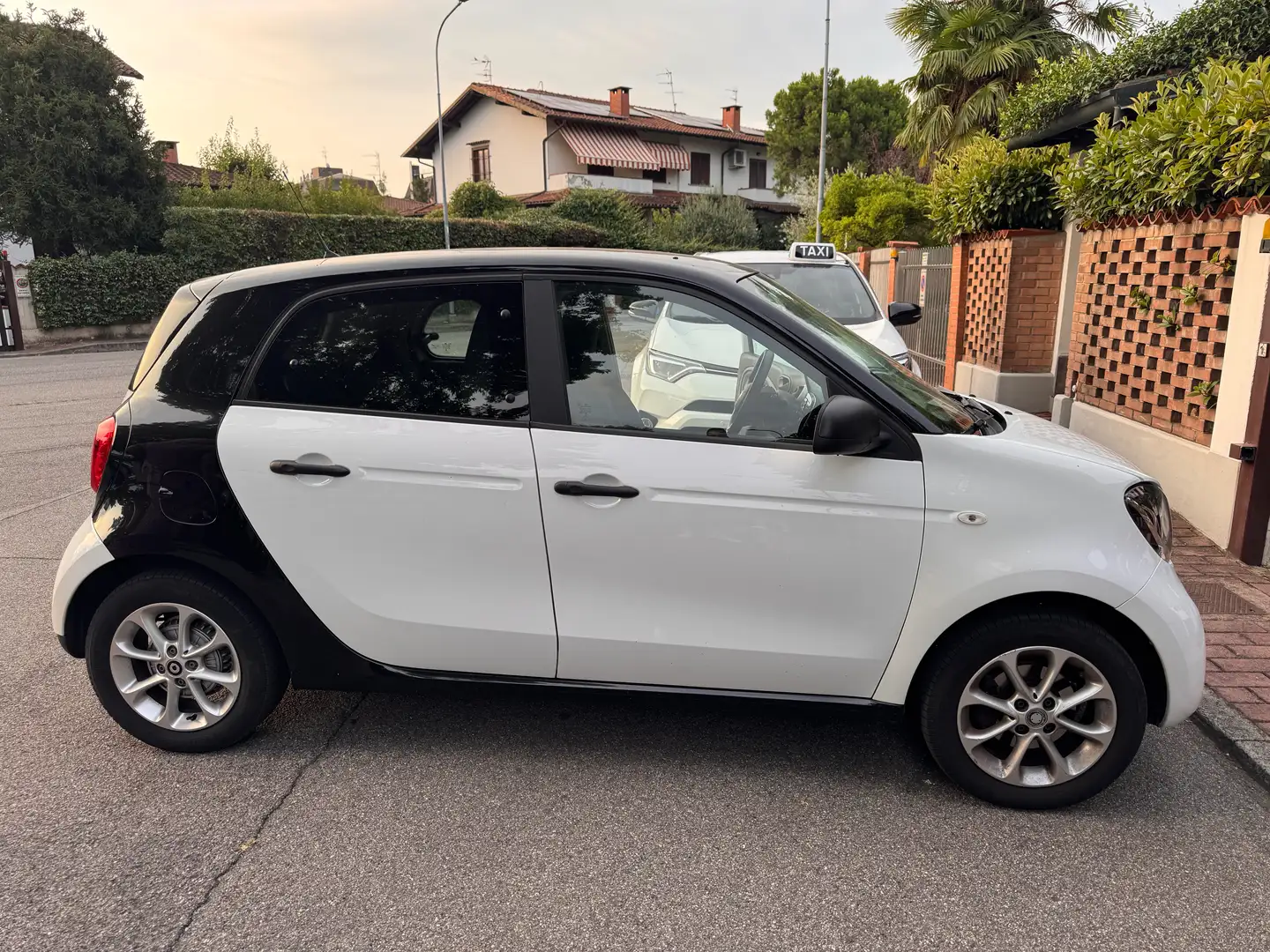 smart forFour Forfour II 2015 1.0 Passion 71cv my18 Bianco - 1