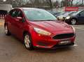 Ford Focus 1,0 EcoBoost Trend Rot - thumbnail 1