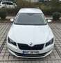 Skoda Superb Superb III Diesel 2.0 TDI DSG L&K EURO6 - thumbnail 1