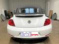 Volkswagen Maggiolino Cabrio 1.4 TSI DSG Sport CUP Bianco - thumbnail 4