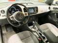Volkswagen Maggiolino Cabrio 1.4 TSI DSG Sport CUP Bianco - thumbnail 5