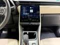 Lexus LBX Elegant+ Gris - thumbnail 39