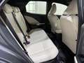 Lexus LBX Elegant+ Gris - thumbnail 26